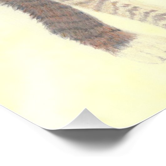 Tabby Kitten Poster (Hoek)