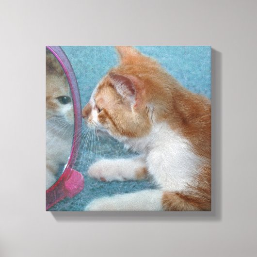 tabby kitten reflectie in spiegel canvas afdruk (Voorkant)