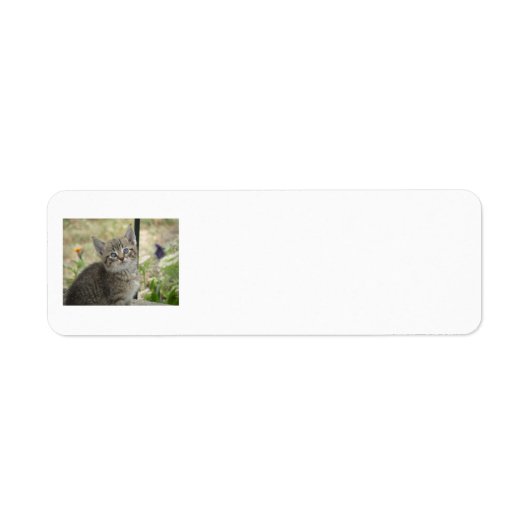 Tabby Kitten Retouradreslabels Etiket (Voorkant)