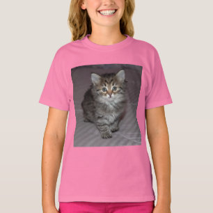 Tabby Kitten Shirt