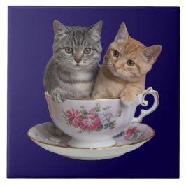 Tabby Kitten Teacup Decoratieve Tegel Tegeltje