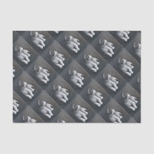 Tabby Kitten Tissuepapier (Voorkant)