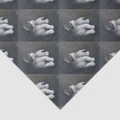 Tabby Kitten Tissuepapier (Detail)