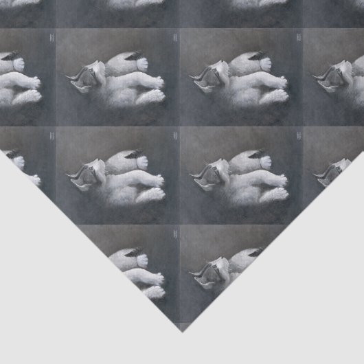 Tabby Kitten Tissuepapier (Detail)