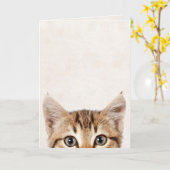 Tabby kitten verjaardagshumor kaart (Gele Bloem)