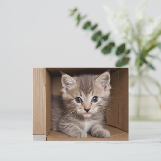 Tabby kitten voor huisdier examen briefkaart (Staand voorkant)