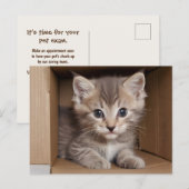 Tabby kitten voor huisdier examen briefkaart (Voorkant / Achterkant)