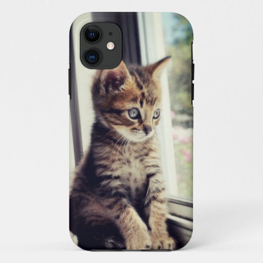 Tabby Kitten Watching Case-Mate iPhone Case (Achterkant)