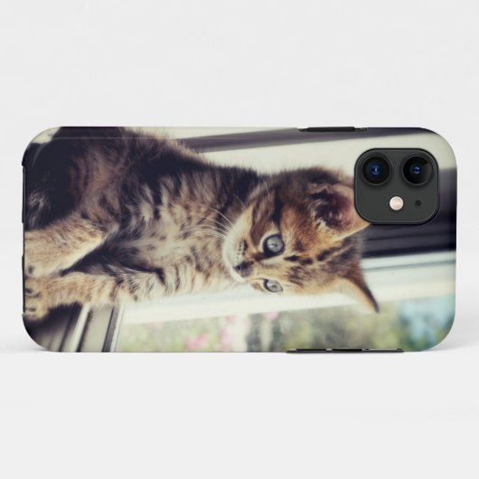 Tabby Kitten Watching Case-Mate iPhone Case (Achterkant (horizontaal))