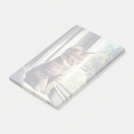 Tabby Kitten Watching Post-it® Notes (Schuin)