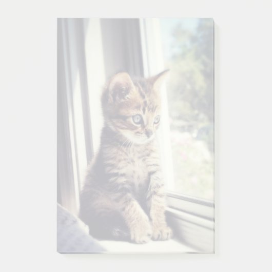Tabby Kitten Watching Post-it® Notes (Voorkant)