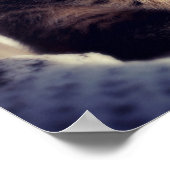 Tabby Kitten Watching Poster (Hoek)