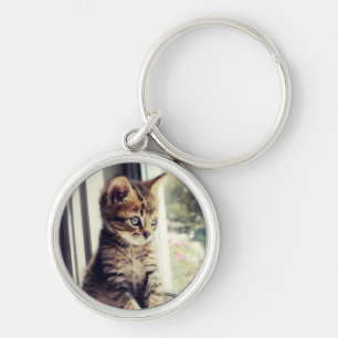 Tabby Kitten Watching Sleutelhanger