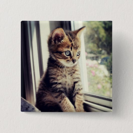 Tabby Kitten Watching Vierkante Button 5,1 Cm (Voorkant)