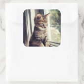 Tabby Kitten Watching Vierkante Sticker (Tas)