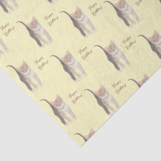 Tabby Kitten Weefselpapier Tissuepapier (Detail)