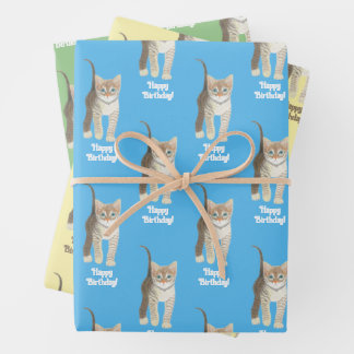 Tabby Kitten Wrapping Paper Sheets Personalize