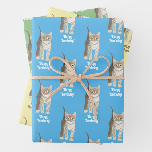 Tabby Kitten Wrapping Paper Sheets Personalize (In situ)
