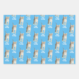 Tabby Kitten Wrapping Paper Sheets Personalize