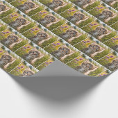 Tabby Kittens in zomerweide Cadeaupapier (Hoek)