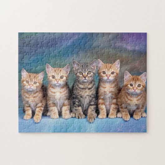 Tabby Kittens x Vijf Legpuzzel (Horizontaal)