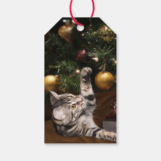 Tabby kitty met kerstmis cadeaulabel (Achterkant)