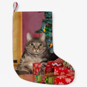 Tabby kitty met kerstmis kleine kerstsok (Voorkant)