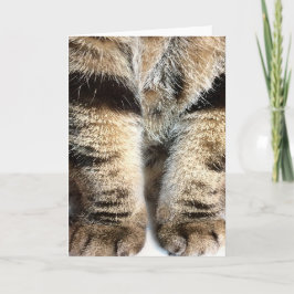 Tabby Legs Note Kaart - Lege binnenkant