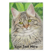 Tabby Longhair (Voorkant)