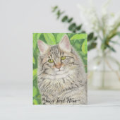 Tabby Longhair Briefkaart (Staand voorkant)