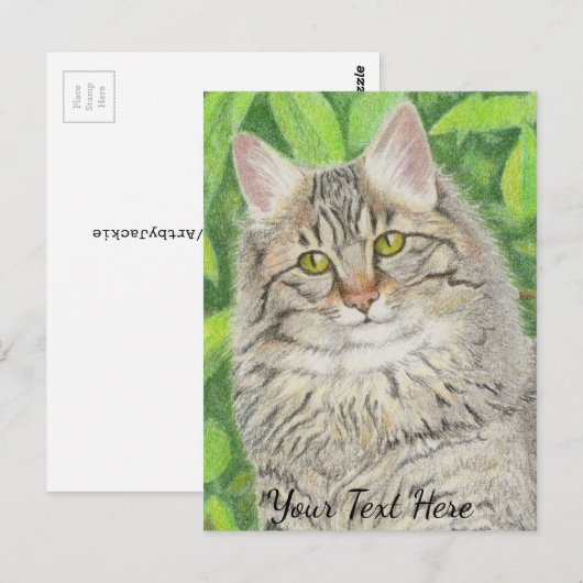 Tabby Longhair Briefkaart (Voorkant / Achterkant)