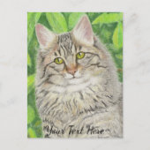 Tabby Longhair Briefkaart (Voorkant)