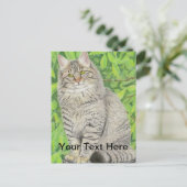 Tabby Longhair Briefkaart (Staand voorkant)