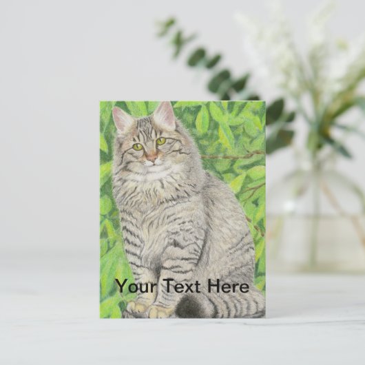 Tabby Longhair Briefkaart (Staand voorkant)