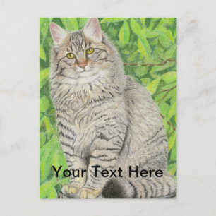 Tabby Longhair Briefkaart