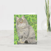 Tabby Longhair Kaart (Voorkant)