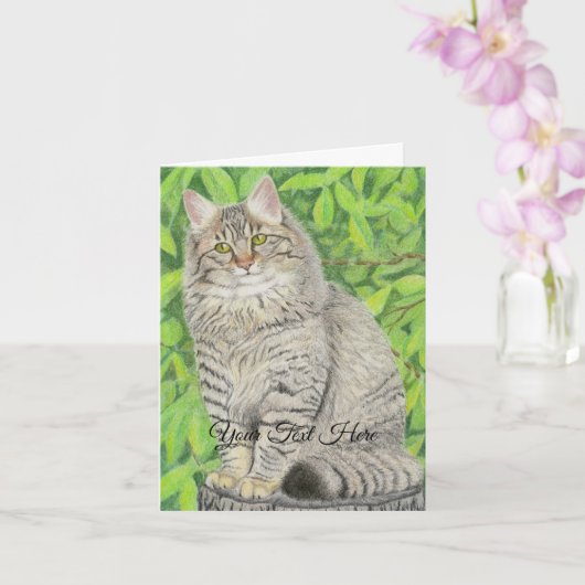 Tabby Longhair Kaart (Orchidee)
