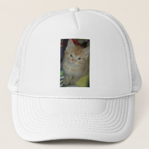 Tabby Love Trucker Pet