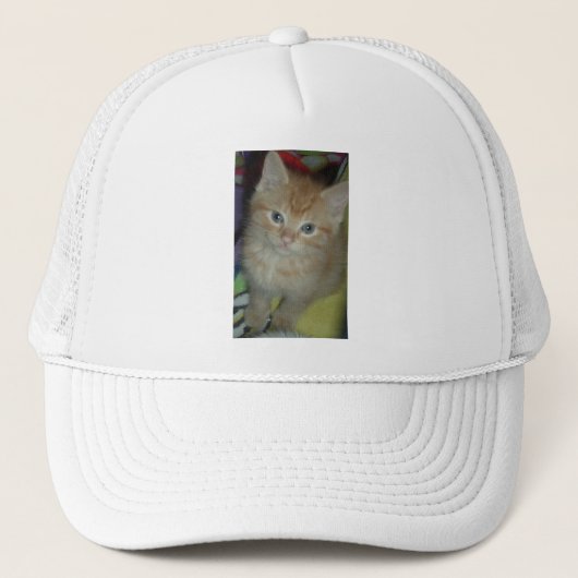 Tabby Love Trucker Pet (Voorkant)