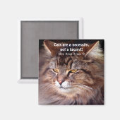 Tabby Maine Coon Cat Lover & Gedichtenmagneet Magneet (Voorkant / Achterkant)