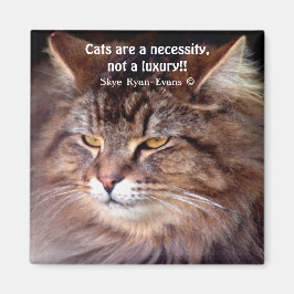 Tabby Maine Coon Cat Lover & Gedichtenmagneet Magneet