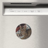 Tabby Meisje Kitten Magneet (Insitu (Vaatwasser))
