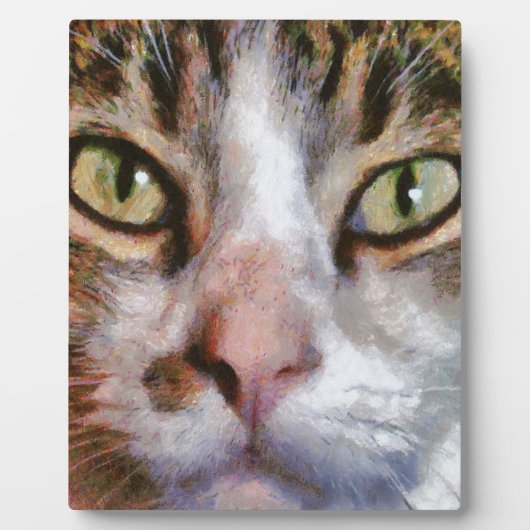 Tabby met lange adem: sluit portret af fotoplaat (Voorkant)