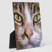 Tabby met lange adem: sluit portret af fotoplaat (Zijkant)