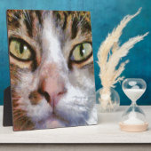 Tabby met lange adem: sluit portret af fotoplaat (Zijkant)