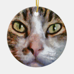 Tabby met lange adem: sluit portret af keramisch ornament