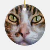 Tabby met lange adem: sluit portret af keramisch ornament (Achterkant)