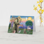 Tabby Norwegian Forest Cat - St Francis Kaart (Gele Bloem)