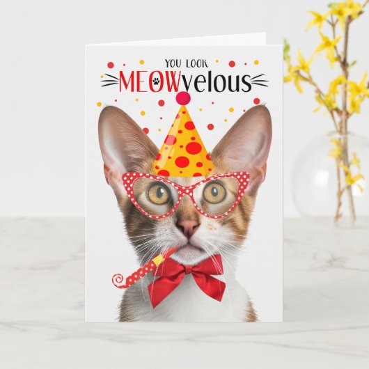 Tabby Oosters Korthaar Kat MEOWvelous Verjaardag Kaart (Gele Bloem)