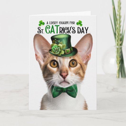 Tabby Oosters Korthaar Kat St CATrick's Day Feestdagen Kaart (Voorkant)